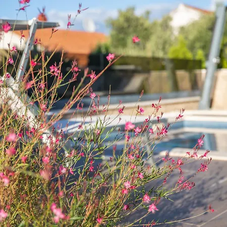 فيلة With 2 Pools, And Sauna Sunce تروغير